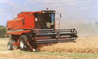 Threshing in 2000