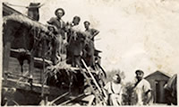 Threshing in 1947